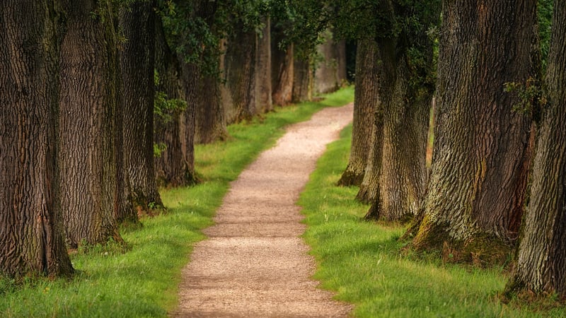 Hiking for Personal Growth